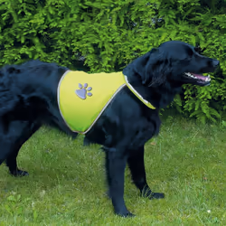 TRIXIE 30083 Gilet de sauvetage pour chiens L Polyester Vert