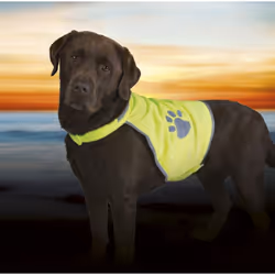TRIXIE Gilet de sécurité
