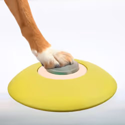 TRIXIE 32040 accessoire d'éducation du comportement pour chiens et chats Chien Jeu de stratégie d'éducation - Vue supplémentaire 4