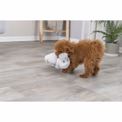 TRIXIE 34821 jouet pour chiens et chats