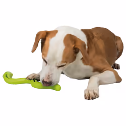 TRIXIE 34949 accessoire d'éducation du comportement pour chiens et chats Chien Jeu de stratégie d'éducation - Vue supplémentaire 6
