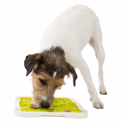 TRIXIE 34952 bol pour chiens et chats Chien Ensemble gamelles pour animaux de compagnie - Vue supplémentaire 11