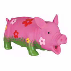 TRIXIE 35185, Chien, Vert, Rose, Latex, Mastication, 200 mm
