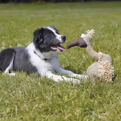 TRIXIE 35912 jouet pour chiens et chats