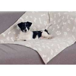 TRIXIE Kenny Chien Peluche Beige