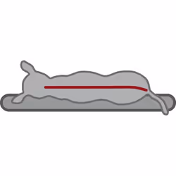TRIXIE 37249 coussin pour chiens et chats Panier orthopédique pour animaux de compagnie