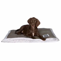 TRIXIE Best of all Breeds Oreiller pour animaux de compagnie