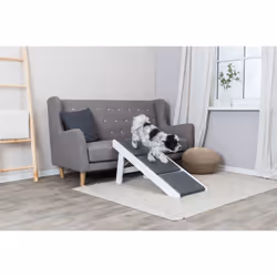 TRIXIE 39462, Rampe pour animaux de compagnie, Intérieure, Chien, Panneaux MDF, Gris, Blanc, Monochromatique