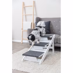 TRIXIE 39462 marche et rampe pour chien et chat Rampe pour animaux de compagnie