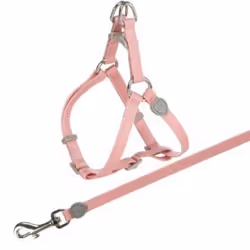 TRIXIE 41891 laisse pour chiens et chats Chat