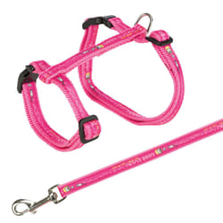 TRIXIE 41893 laisse pour chiens et chats Chat