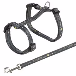 TRIXIE 41893 laisse pour chiens et chats Chat
