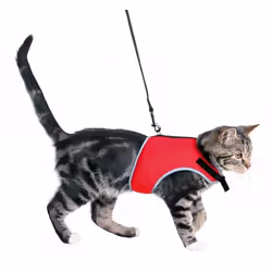 TRIXIE 41896 harnais pour chiens et chats Nylon Chat Harnais abdominal