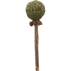 TRIXIE 42430 paillasson pour chiens et chats Chat