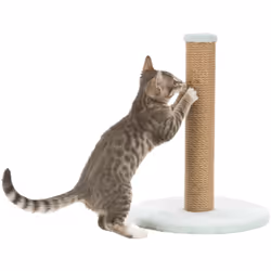 Junior poteau griffoir sur plateau - TRIXIE - 42 cm - Menthe