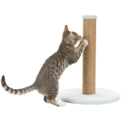 Junior poteau griffoir sur plateau - TRIXIE - 42 cm - Menthe
