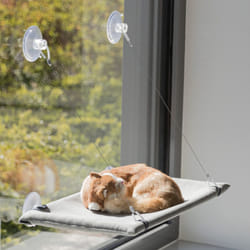 TRIXIE 43209 coussin pour chiens et chats