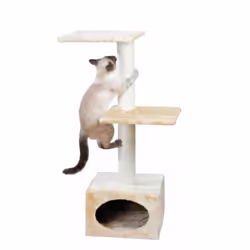 TRIXIE 43451 Tour griffoir pour chat