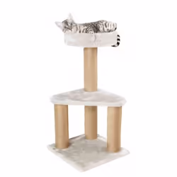 TRIXIE 44420 Tour griffoir pour chat