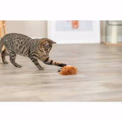 TRIXIE 45681 jouet pour chiens et chats