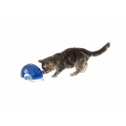 Jouet pour chats Trixie Bleu Blanc