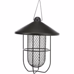 Distributeur de cacahuètes. design moderne de haute qualité. grille extérieure pour se poser et se reposer. facile à remplir  ...
