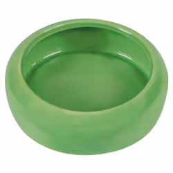 TRIXIE 60741, Hamster, Gamelle à nourriture pour animaux de compagnie, Vitrocéramique, Vert, Monochromatique, 0,1 L