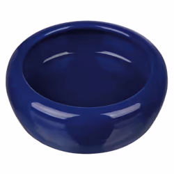 Lot de 4 gamelles pour petit rongeur avec bord arrondi en céramique Trixie
