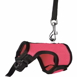 TRIXIE 61511, Multicolore
