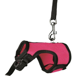 TRIXIE 61511 laisse pour chiens et chats Multicolore