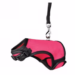 TRIXIE 61512, Cochon d'inde, Monochromatique