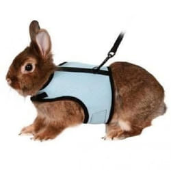 TRIXIE 61513 laisse pour chiens et chats Multicolore