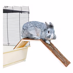 TRIXIE 62122, Pont, Cochon d'inde, Lapin, Bois, Bois, 630 mm, 180 mm