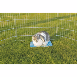 TRIXIE Cooling Plate Lit rafraîchissant pour animaux de compagnie
