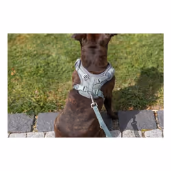 TRIXIE 1989334 harnais pour chiens et chats M Vert Mesh Chien Harnais abdominal - Vue supplémentaire 6