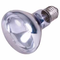 TRIXIE 4011905760087 lampe chauffante pour reptile 100 W 1 pièce(s)