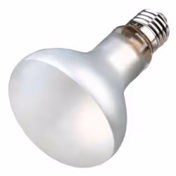 TRIXIE 76027 lampe chauffante pour reptile 70 W