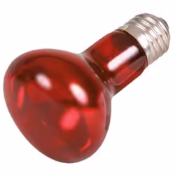 TRIXIE 76094 lampe chauffante pour reptile