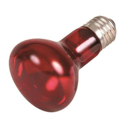 Lot de 3 lampes spot infrarouge à chaleur pour terrariophilie Trixie