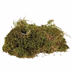 TRIXIE 76155 substrat pour reptiles et amphibiens 200 g - Vue supplémentaire 4