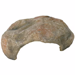 Grotte pour reptile en résine polyester aspect naturel, décor forêt tropicale endroit idéal pour s'isoler Dimensions: 30 × 25 ...