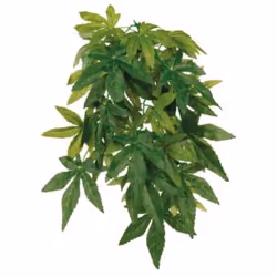 TRIXIE 76236 ornement de décor d’habitat pour amphibiens et reptiles