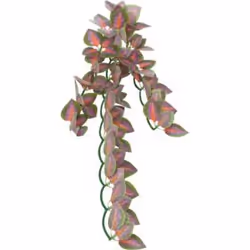 TRIXIE 76245 ornement de décor d’habitat pour amphibiens et reptiles