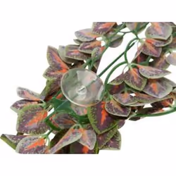 TRIXIE 76245 ornement de décor d'habitat pour amphibiens et reptiles - Vue supplémentaire 5