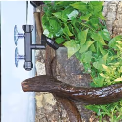 TRIXIE 76308 accessoire de terrariums pour reptiles et amphibiens - Vue supplémentaire 6