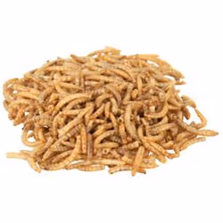 TRIXIE 76391 aliment pour reptiles et amphibiens