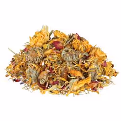 TRIXIE 76394 aliment pour reptiles et amphibiens