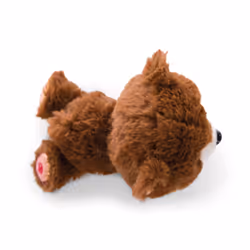 NICI Bear Mr. Cuddle