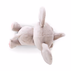 NICI GLUBSCHIS