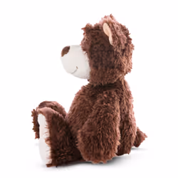NICI Classic Bear